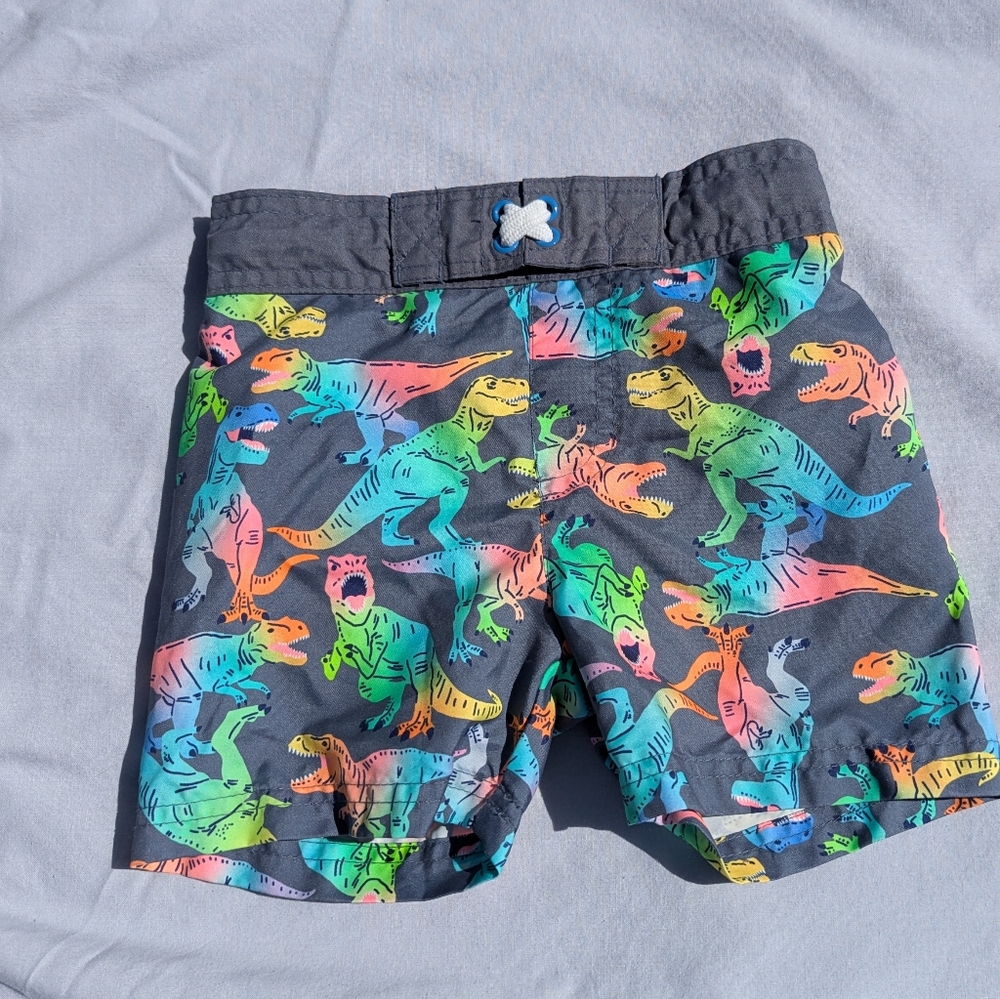 Cat & Jack Dinosaur Print Toddler 2T